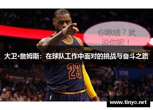 大卫·詹姆斯：在球队工作中面对的挑战与奋斗之路