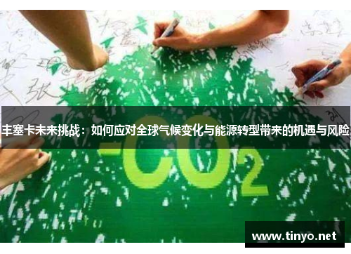 丰塞卡未来挑战：如何应对全球气候变化与能源转型带来的机遇与风险