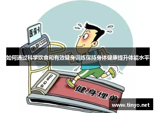如何通过科学饮食和有效健身训练保持身体健康提升体能水平