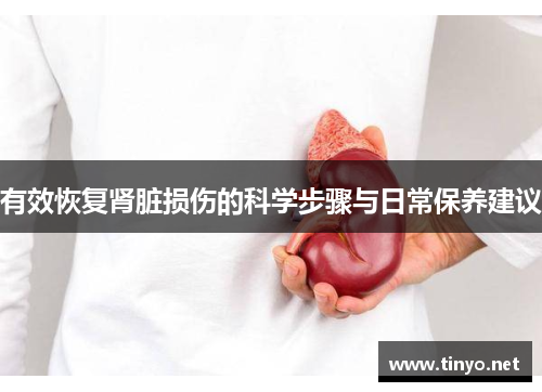有效恢复肾脏损伤的科学步骤与日常保养建议