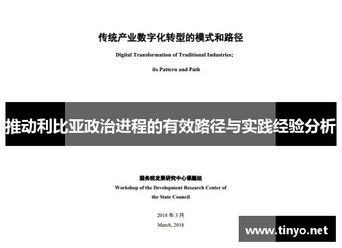 推动利比亚政治进程的有效路径与实践经验分析
