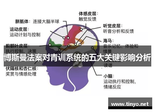 博斯曼法案对青训系统的五大关键影响分析