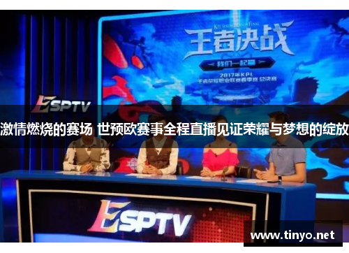 激情燃烧的赛场 世预欧赛事全程直播见证荣耀与梦想的绽放