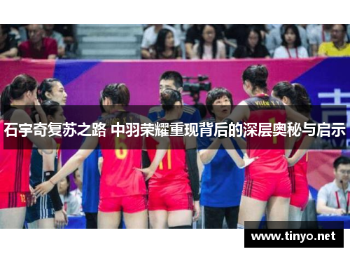 石宇奇复苏之路 中羽荣耀重现背后的深层奥秘与启示