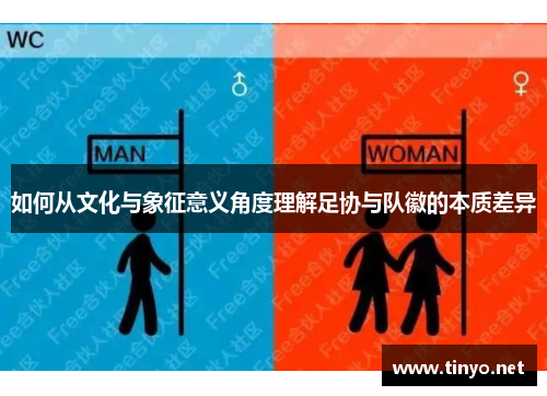 如何从文化与象征意义角度理解足协与队徽的本质差异