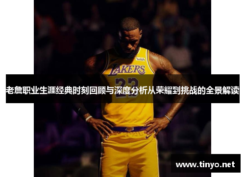老詹职业生涯经典时刻回顾与深度分析从荣耀到挑战的全景解读