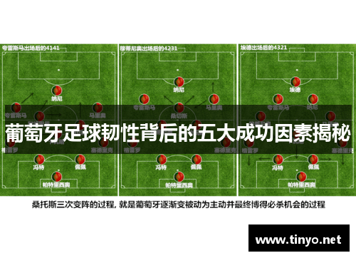 葡萄牙足球韧性背后的五大成功因素揭秘