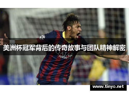 美洲杯冠军背后的传奇故事与团队精神解密