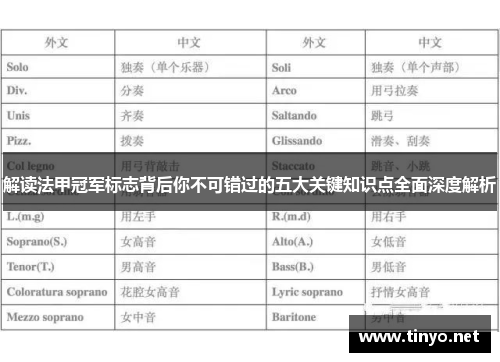 解读法甲冠军标志背后你不可错过的五大关键知识点全面深度解析