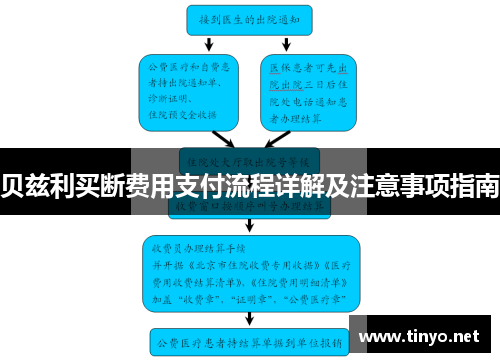 贝兹利买断费用支付流程详解及注意事项指南