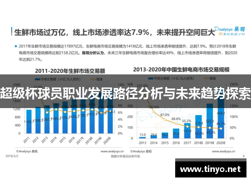 超级杯球员职业发展路径分析与未来趋势探索
