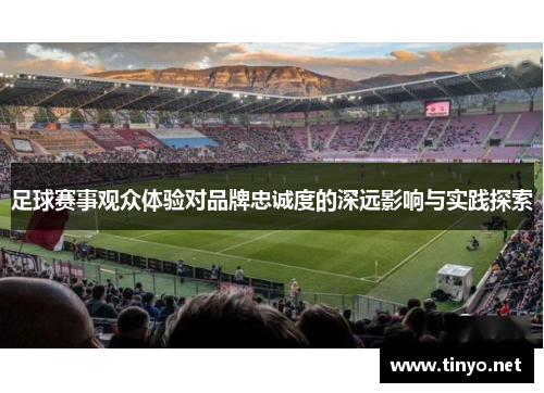 足球赛事观众体验对品牌忠诚度的深远影响与实践探索