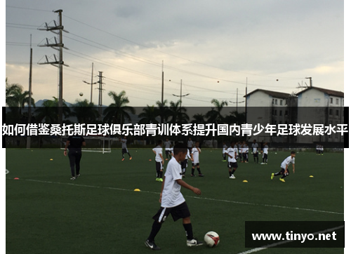如何借鉴桑托斯足球俱乐部青训体系提升国内青少年足球发展水平